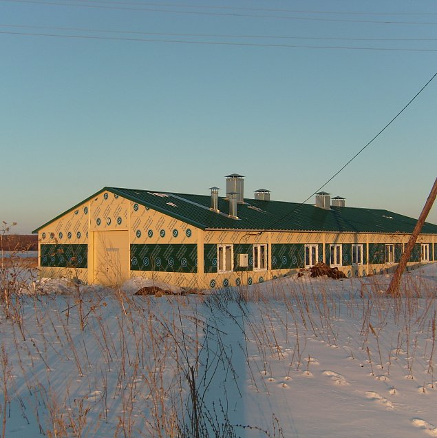 Family dairy cattle-breeding farm