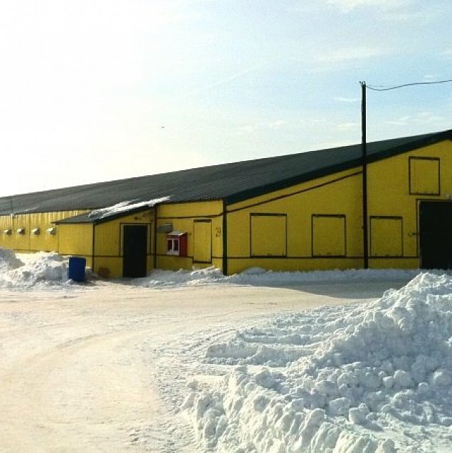 Poultry complex