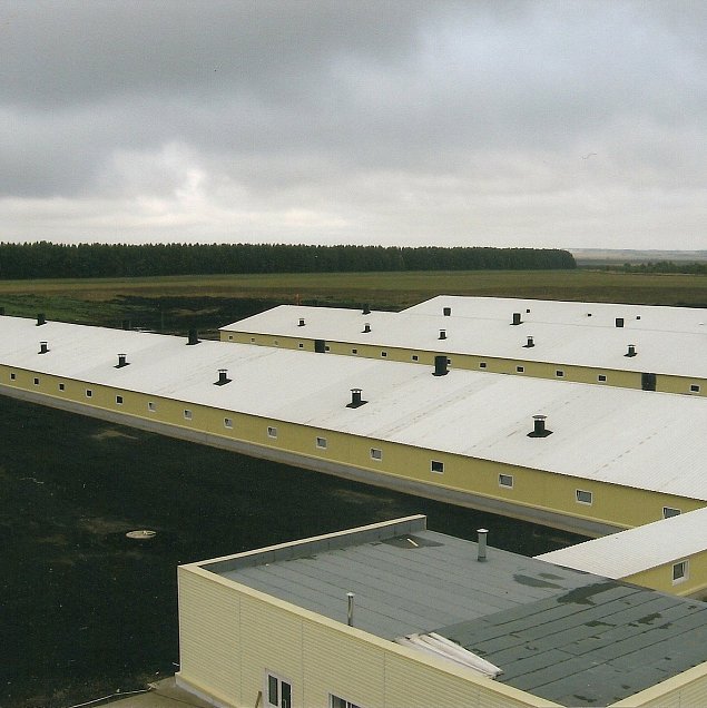 Pig farm complex